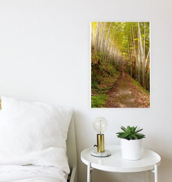Bamboo Pathway Print - Image 2