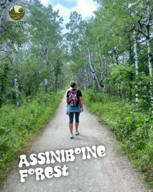 Image of the Assiniboine Forest Peg City Parks Scavenger Hunt cover - a hiker walking on a gravel path in a forest.
