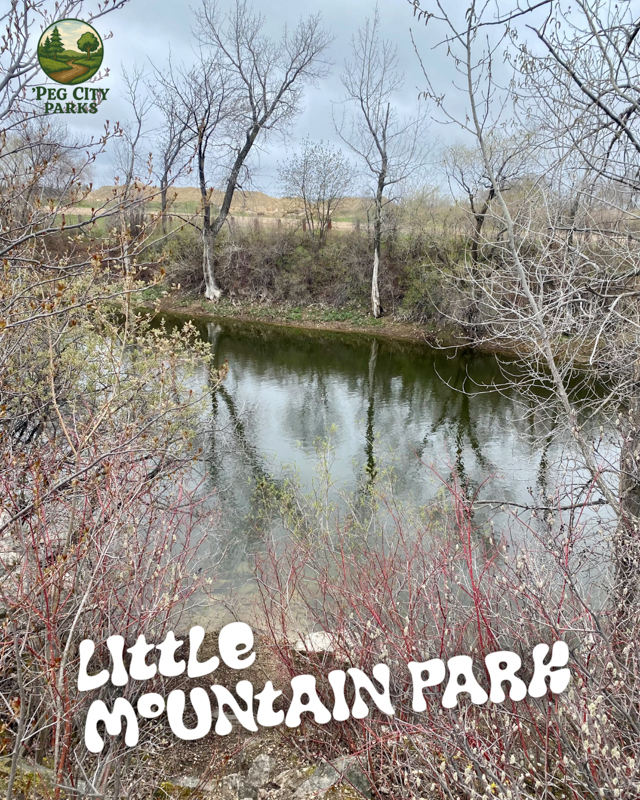 Little Mountain Park Scavenger Hunt - Digital PDF Download